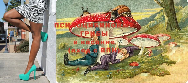 сатива Алексин