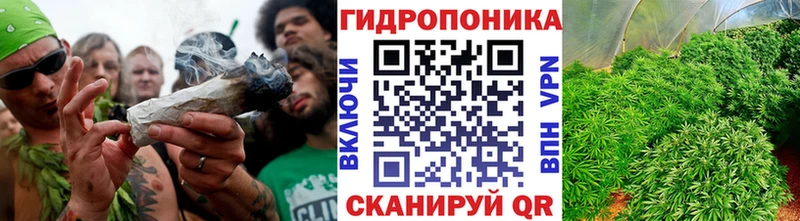Каннабис ГИДРОПОН  наркотики  Приозерск 